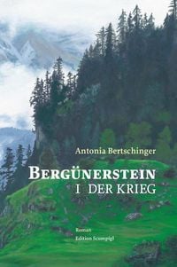 Berg�nerstein
