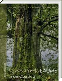 Faszinierende B�ume in der Oberpfalz
